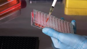Researcher using ELISPOT