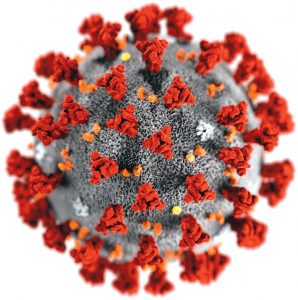 COVID-19-Forschungswerkzeuge von Chondrex