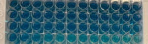 Instant-ELISA