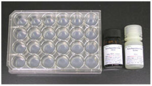 Bone Resorption Activity Assay Kit